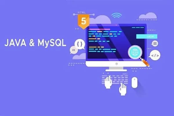 JAVA & MySQL